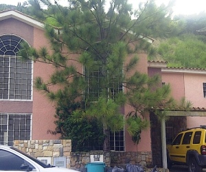 MARIA ALBA GIORDANO Townhouse Venta Valencia La Entrada FLEXMLS-11-8139