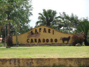 Estela Beatriz P�rez Rivas Casa En Venta En Valencia - Safari Country Club C&oacute;digo FLEX: 11-8147