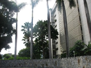 ALFREDO NESSY Apartamento En Venta En Caracas - Santa Rosa de Lima C&oacute;digo FLEX: 11-8171 No.2