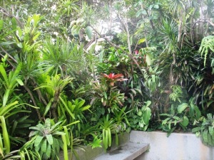 ALFREDO NESSY Apartamento En Venta En Caracas - Santa Rosa de Lima C&oacute;digo FLEX: 11-8171 No.9