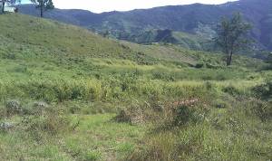 EILEEN CASTILLO Terreno  Venta La Colonia Tovar Sector Potrero Perdido FLEXMLS-11-8188