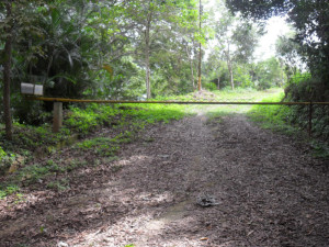 LISETH GONZALEZ Terreno  Venta Municipio Naguanagua Trincheras FLEXMLS-11-8271
