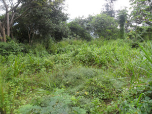 MARIA ALBA GIORDANO Terreno Comercial En Venta En Municipio Naguanagua - Trincheras C&oacute;digo FLEX: 11-8271 No.3