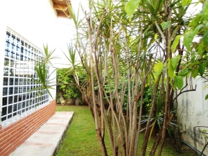 NATALIA RONDON Casa Venta Valencia Trigal Norte FLEXMLS-11-8366