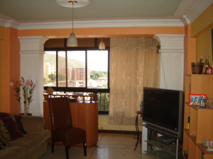 EILEEN CASTILLO Apartamento En Venta En La Victoria - Centro C&oacute;digo FLEX: 11-8462 No.8