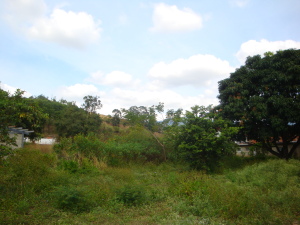 MARIA ALBA GIORDANO Terreno Comercial En Venta En Municipio Naguanagua - El Cafetal C&oacute;digo FLEX: 11-8491 No.6