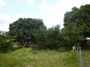 MARIA ALBA GIORDANO Terreno Comercial En Venta En Municipio Naguanagua - El Cafetal C&oacute;digo FLEX: 11-8491 No.7