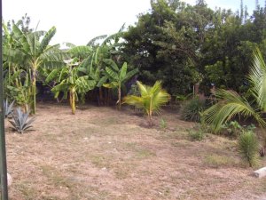 JORGE MENDOZA A. Casa Venta Barquisimeto Parroquia El Cuji FLEXMLS-11-8558