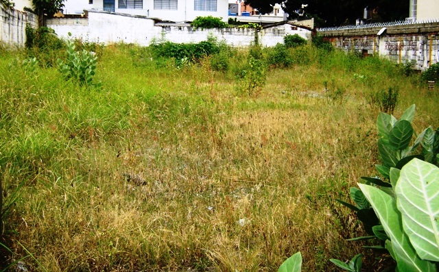OSCAR ILLARRAMENDI Terreno Residencial En Venta En Maracay - El Bosque C&oacute;digo FLEX: 11-8592 No.0