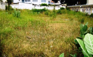 EILEEN CASTILLO Terreno  Venta Maracay El Bosque FLEXMLS-11-8592