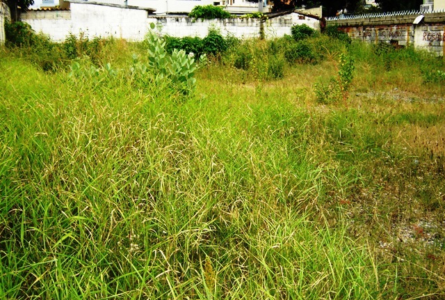 OSCAR ILLARRAMENDI Terreno Residencial En Venta En Maracay - El Bosque C&oacute;digo FLEX: 11-8592 No.1