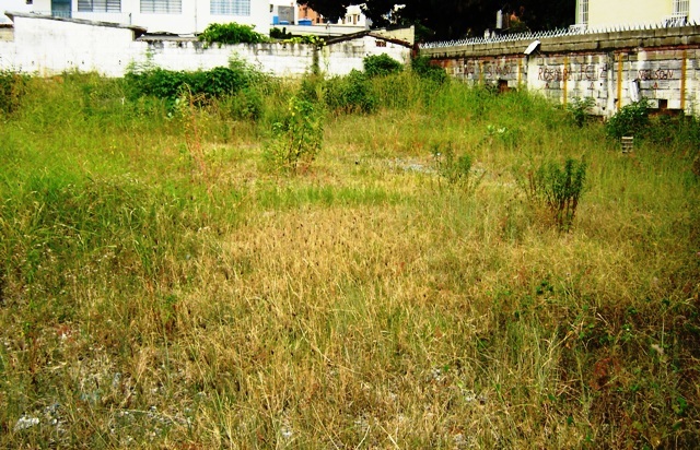 OSCAR ILLARRAMENDI Terreno Residencial En Venta En Maracay - El Bosque C&oacute;digo FLEX: 11-8592 No.5
