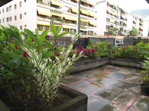 ARIADNA BOUQUETT MORENO Apartamento Venta Caracas Miranda FLEXMLS-11-8667