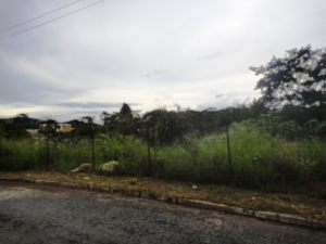 PATRICIA COLINA V-09752084-0 Terreno Residencial Venta Valencia Guataparo FLEXMLS-11-8689