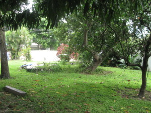 Oscar Illarramendi Terreno Residencial En Venta En Maracay - El Limon C&oacute;digo FLEX: 11-8691 No.2