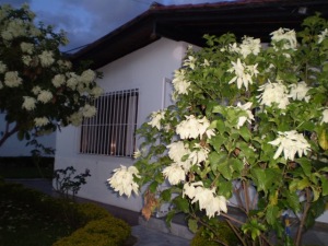 EILEEN CASTILLO Casa Venta La Victoria La Mora II FLEXMLS-11-8759