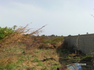         ANGEL PINTON Terreno En Venta En Punto Fijo - San Rafael C&oacute;digo FLEX: 11-8832