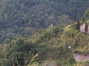 ERNESTO JIMENEZ Terreno Residencial En Venta En Caracas - El Hatillo C&oacute;digo FLEX: 11-8838 No.3
