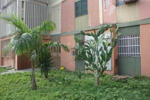 EILEEN CASTILLO Apartamento Venta Palo Negro Los Naranjos FLEXMLS-11-9043