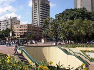 IVANA MASSIMINI Oficina En Alquiler En Caracas - Altamira C&oacute;digo FLEX: 11-9058 No.2