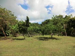 LAURA CECILIA TROTTA Terreno  Venta Higuerote Higuerote FLEXMLS-11-9135