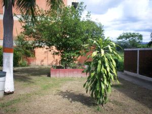 EILEEN CASTILLO Apartamento En Venta En Santa Cruz de Aragua - Residencias Santa Cruz Código FLEX: 11-9394 No.2