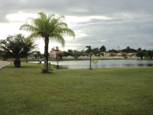 Areas verdes y caminerias