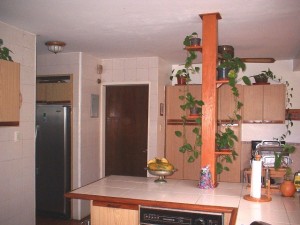 Bel�n Mar�n y David Del Corral Casa En Venta En Caracas - Santa Paula C&oacute;digo FLEX: 11-9410 No.8