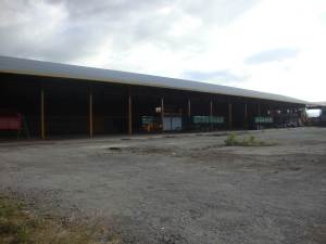 MANUEL ROGELIO PEREZ Industrial Alquiler Barquisimeto Parroquia Union FLEXMLS-11-9436