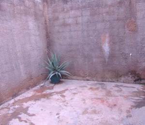 MARIA ALBA GIORDANO Casa En Venta En Valencia - Los Caobos C&oacute;digo FLEX: 11-9430 No.9