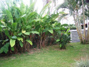 ARIADNA BOUQUETT MORENO Casa Venta Caracas Valle Arriba FLEXMLS-12-16