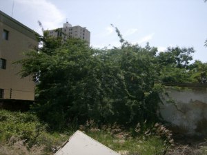JUSMERI ESPINA Terreno  Venta Maracaibo Valle Frio FLEXMLS-12-23