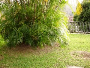 Anais Rodriguez Casa En Venta En Caracas - Prados del Este C&oacute;digo FLEX: 12-75 No.7