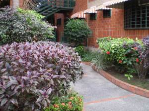 EILEEN CASTILLO Apartamento En Venta En Maracay - Base Aragua C&oacute;digo FLEX: 12-111 No.2