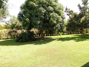 MARIA ALBA GIORDANO Casa En Venta En Valencia - Safari Country Club C&oacute;digo FLEX: 12-143 No.8
