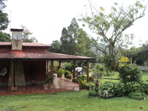 Area lateral de la casa