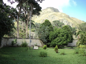 Jardines y espacios verdes 1
