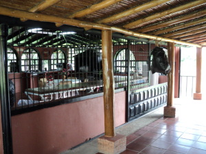 area de churuata