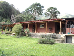 area trasera de la casa