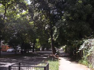 MARIA ALBA GIORDANO Casa En Venta En Valencia - Valles de Camoruco C&oacute;digo FLEX: 12-255 No.3