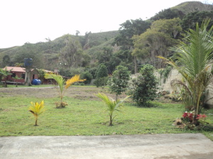 Areas verdes 1