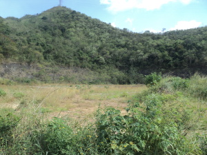 Terreno  / Venta / Valencia / Manongo / FLEXMLS-10-2732