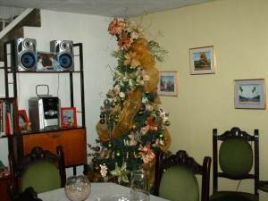 MARIA ALBA GIORDANO Casa En Venta En Valencia - La Isabelica C&oacute;digo FLEX: 12-351 No.8