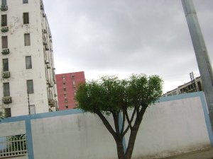 DORIS ACOSTA Apartamento En Venta En Maracaibo - Ciudadela Faria C&oacute;digo FLEX: 12-368 No.1