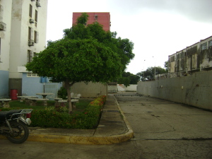 DORIS ACOSTA Apartamento En Venta En Maracaibo - Ciudadela Faria C&oacute;digo FLEX: 12-368 No.8