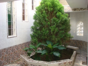 Jardín