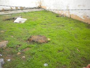 CARMI�A & ASOCIADOS Casa En Venta En Maracaibo - Irama C&oacute;digo FLEX: 11-9441 No.7