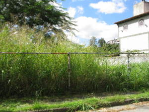 ARIADNA BOUQUETT MORENO Terreno  Venta Caracas La Trinidad FLEXMLS-12-478