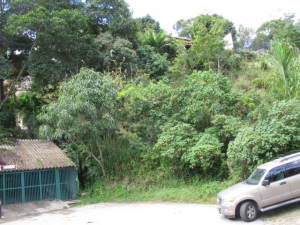 ERNESTO JIMENEZ Terreno Residencial En Venta En Caracas - La Trinidad C&oacute;digo FLEX: 12-486 No.3