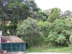 ERNESTO JIMENEZ Terreno Residencial En Venta En Caracas - La Trinidad C&oacute;digo FLEX: 12-486 No.7